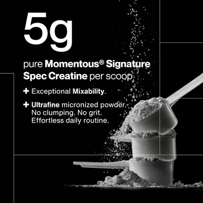 Momentous Creatine Monohydrate Powder, 5g per Serving, Unflavored